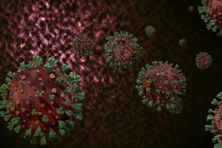 Koronavirüsün yeni bir türüne rastlandı