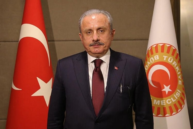 Mustafa Şentop'tan başkanlık yasası açıklaması