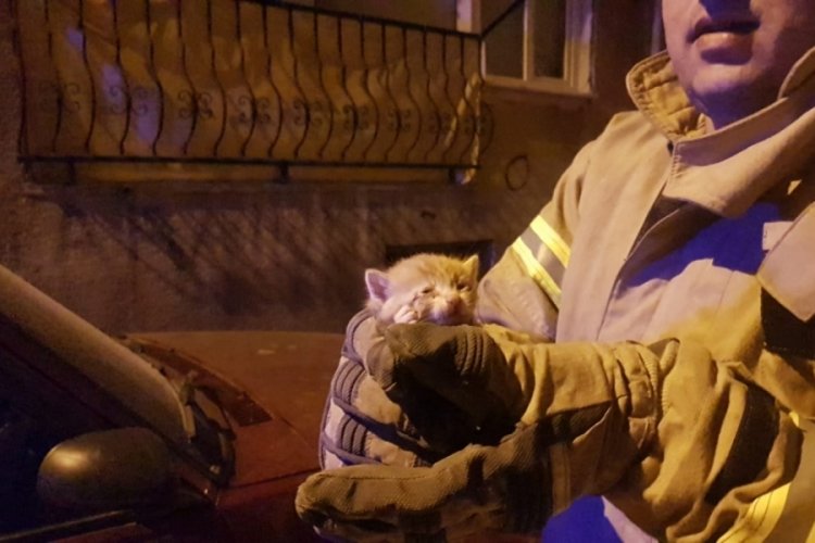 Bursa'da yavru kediyi kurtaran itfaiye ekiplerini mahalleli alkışladı
