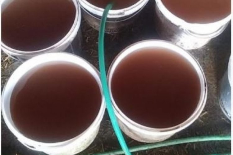 Limonata değil şebeke suyu: Hayvanlar bile i&ccedil;emedi