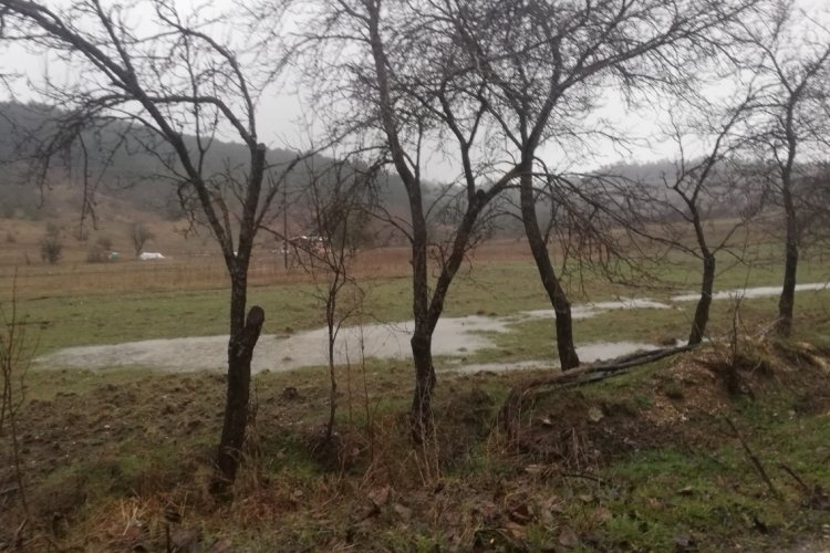 Bursa Keles'te tarım arazileri sular altında