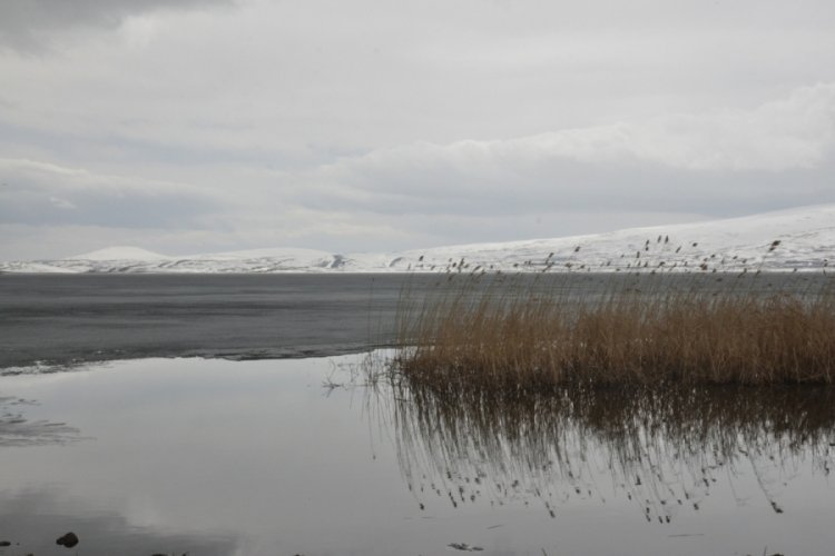 Çıldır Gölü'nde buzlar erimeye başladı