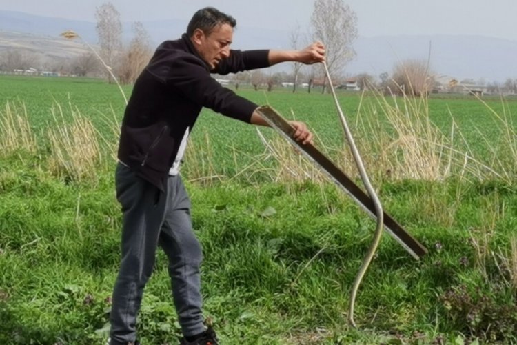 Bursa'da site bahçesine giren yılan korkuttu