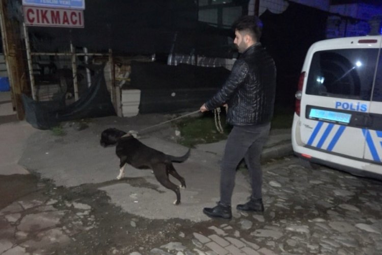 Bursa'da Karlos'un yakaladığı, esnafın dövdüğü taciz şüphelisi tutuklandı