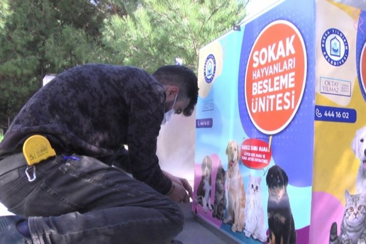 Bursa�da aç sokak hayvanı kalmayacak Bursa Haberleri Bölge