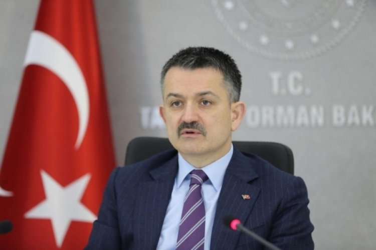 Bakan Pakdemirli: "Patates ve kuru soğan alımına başlıyoruz"