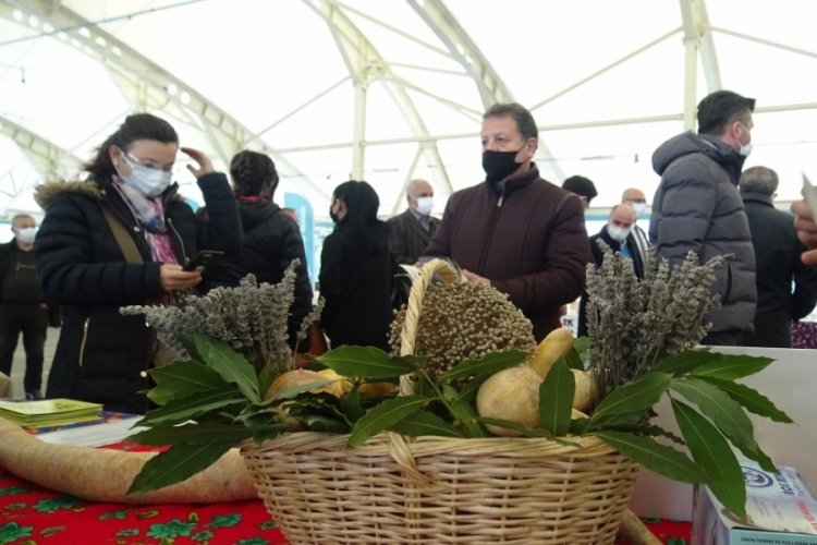 Bursa'da 15 bin yerli tohum dağıtıldı