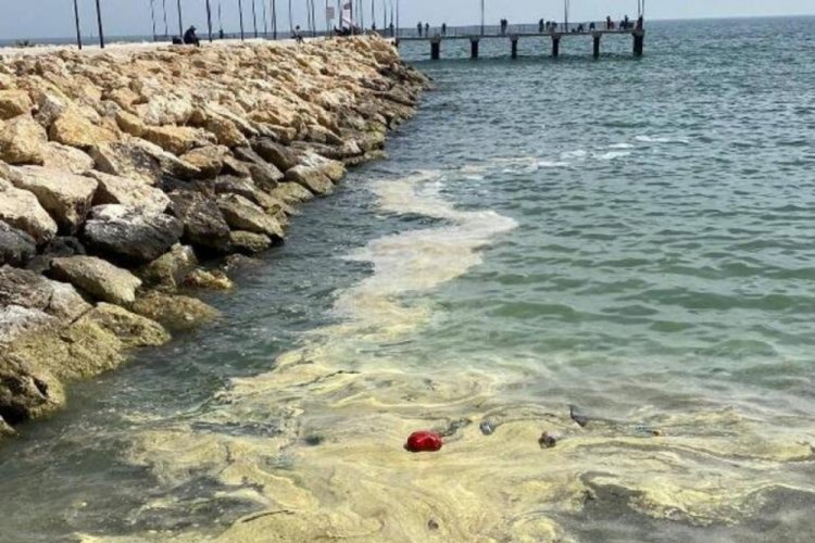 Mersin'de deniz &uuml;st&uuml;ndeki sarı tabakanın sebebi belli oldu