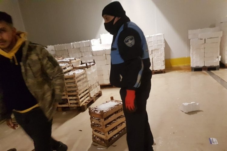 Balık halinde 8 adet camg&ouml;z k&ouml;pekbalığına el konuldu