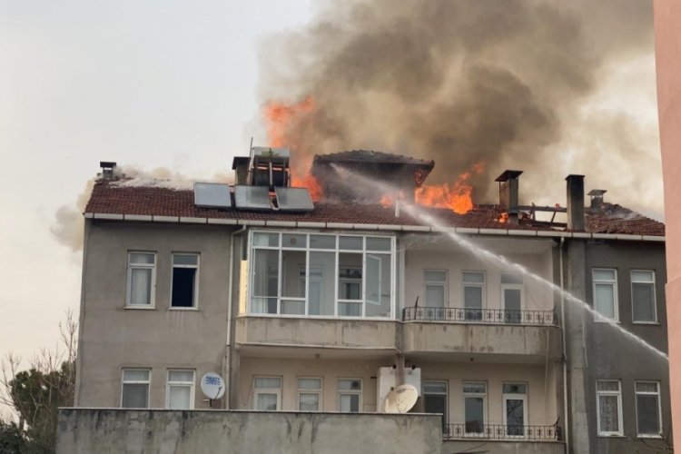 Bursa İznik'teki yangın kontrol altına alındı