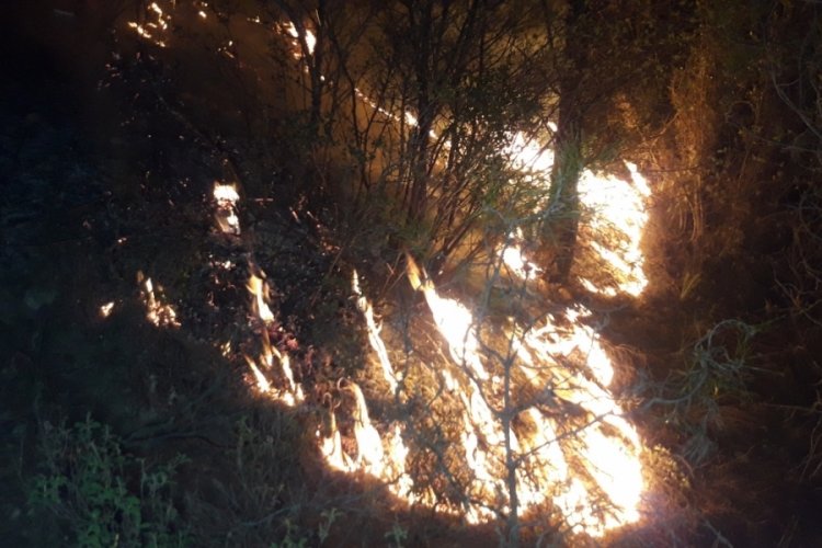 Bakan Pakdemirli'den Muğla'daki yangına ilişkin açıklama