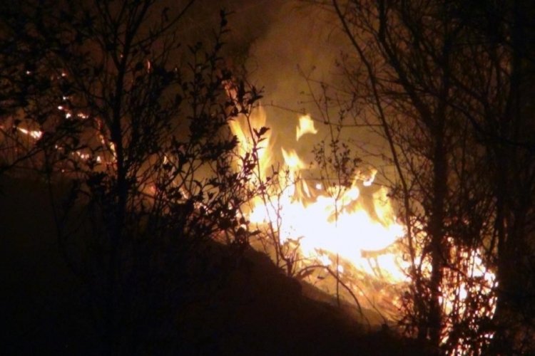 Muğla'daki yangınlar kontrol altına alındı