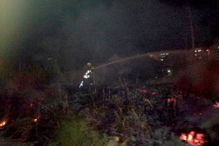 Muğla'da sazlık alanda &ccedil;ıkan yangın s&ouml;nd&uuml;r&uuml;ld&uuml;