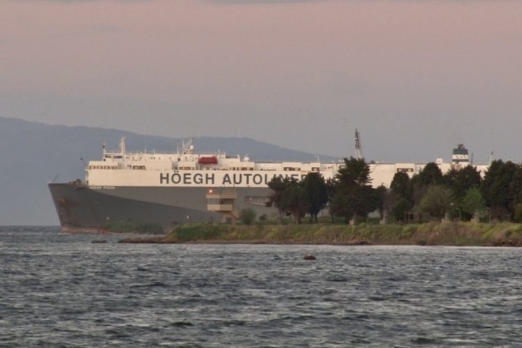 Tuzla'da karaya oturan gemi kurtarılmayı bekliyor