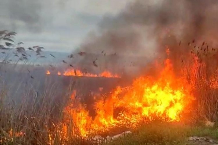 Bursa'da İznik Gölü kıyısında büyük yangın