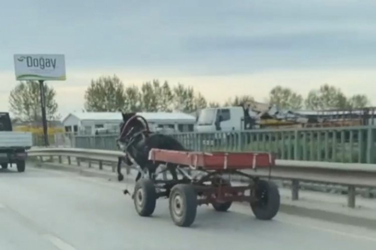 Bursa'da s&uuml;r&uuml;c&uuml;s&uuml;z at arabası trafiği birbirine kattı