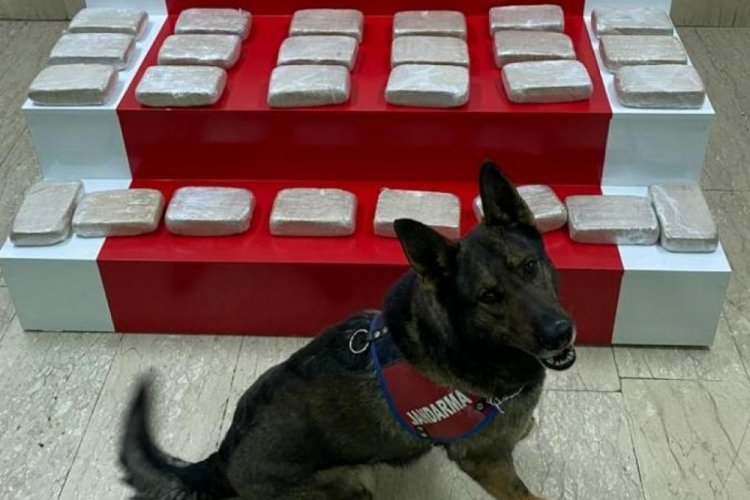 Evdeki 51 kilo eroini narkotik köpeği 'İbre' buldu