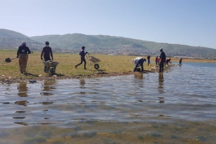 Lübnan'da tonlarca sazan balığı telef oldu