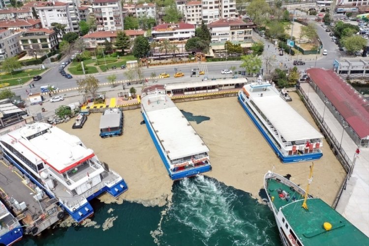 İstanbul'da sahilde oluşan beyaz tabaka kıyıya da vurdu