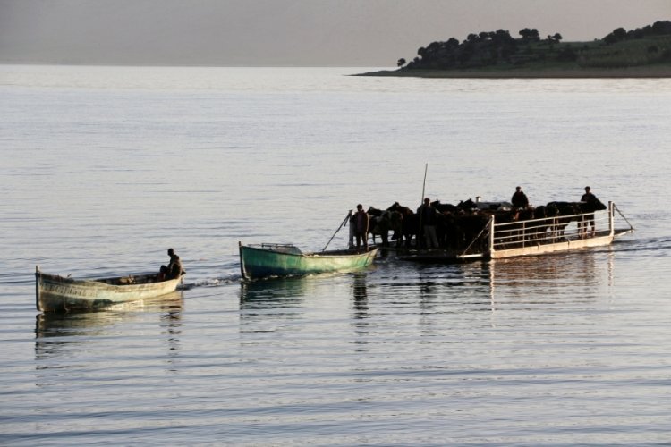 Mada Adası'nda yaşayanların yaylaya göçü başladı 