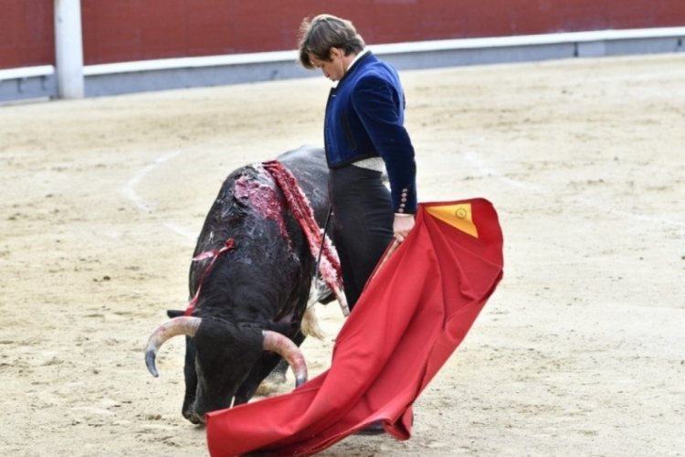 İspanya'da boğa güreşleri 19 ay sonra yeniden başladı