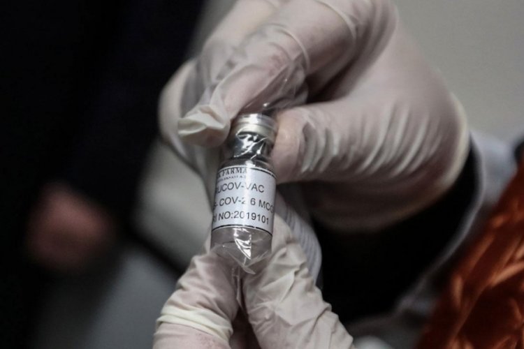TÜBİTAK Başkanı Mandal, yerli koronavirüs VLP aşısı için tarih verdi