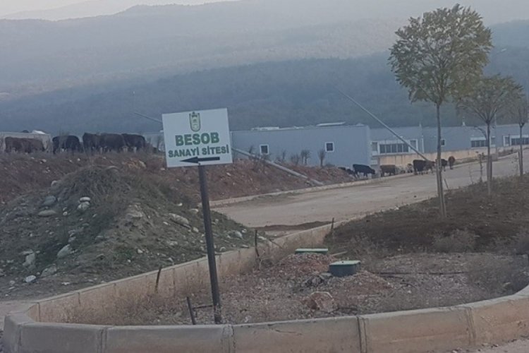Bursa'nın hüsran projesi BESOB'un Kestel Çataltepe'deki Esnaf Sanayi Sitesi...