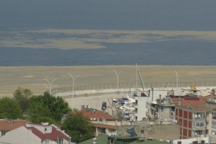 Bursa'nın Mudanya sahilleri de deniz salyası ile kaplandı