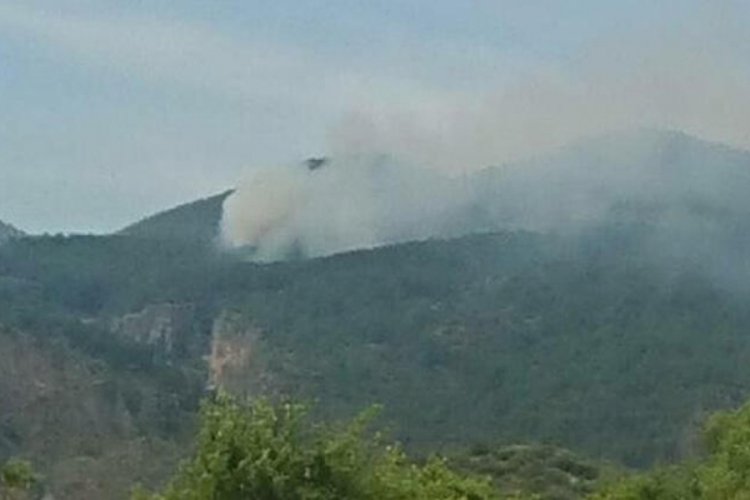 Muğla'da orman yangını! 2 hektar kızıl&ccedil;am k&uuml;le d&ouml;nd&uuml;