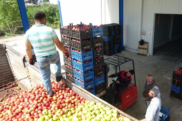 Bursa'da pazarlar kapanınca tonlarca meyve soğuk hava depolarında kaldı