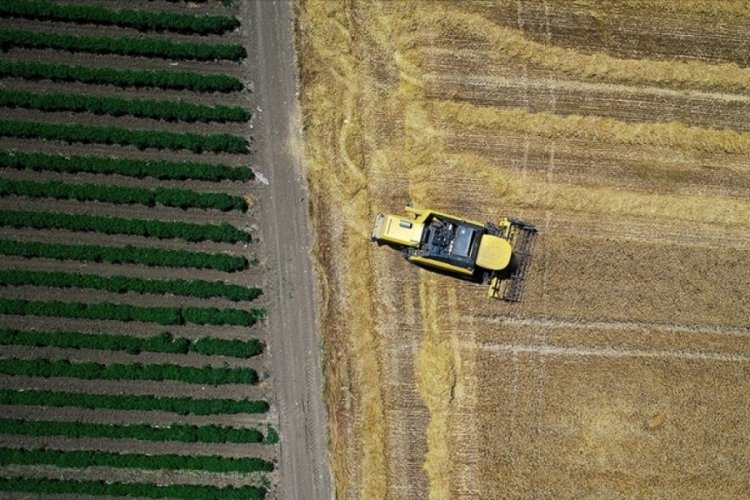 Tarım ihracatında Almanya ve Irak &ouml;n plana &ccedil;ıktı