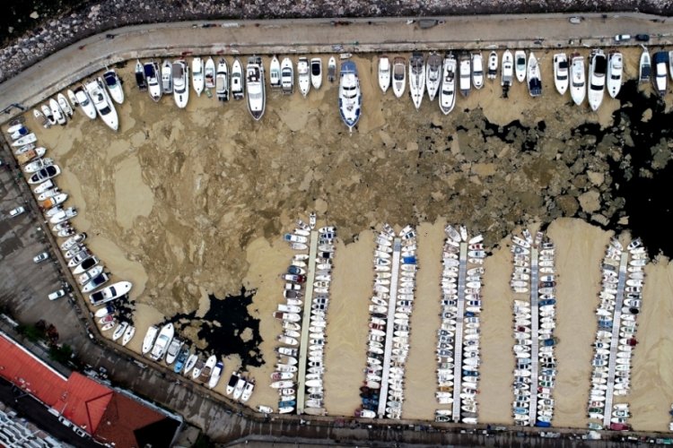 Bursa'da deniz salyasıyla kaplanan Mudanya Yat Limanı, havadan görüntülendi