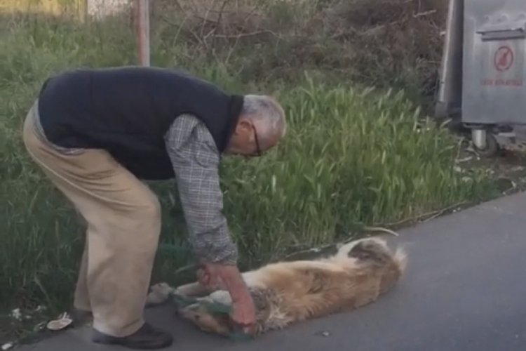 Bağladığı k&ouml;peği s&uuml;r&uuml;kleyerek &ccedil;&ouml;pe atan adam yakalandı!