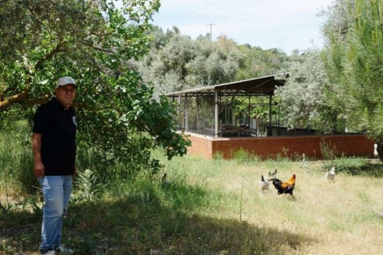 Uzmanlardan m&uuml;stakil evlerde yaşayanlara 'tavuk' &ouml;nerisi