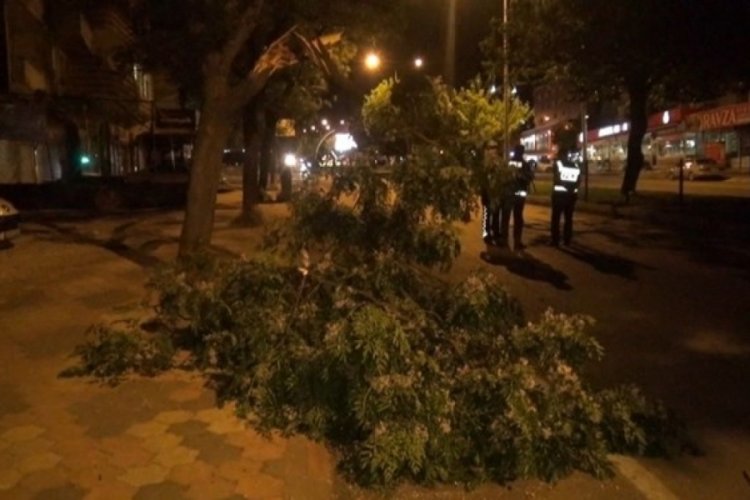 Fırtına ağa&ccedil;ları devirdi, binaların kaplamasını u&ccedil;urdu