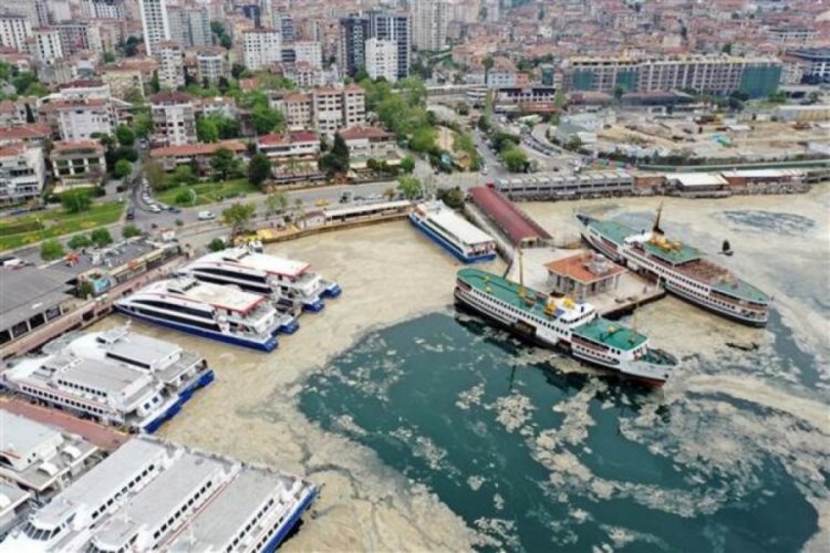 &Ccedil;evre ve Şehircilik İl M&uuml;d&uuml;rl&uuml;kleri'ne deniz salyası talimatı