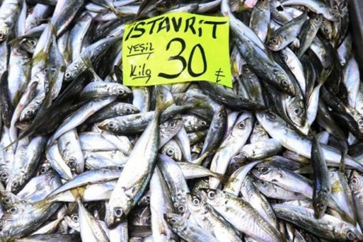 İstavritin kilosu 30 liradan tezgahlarda
