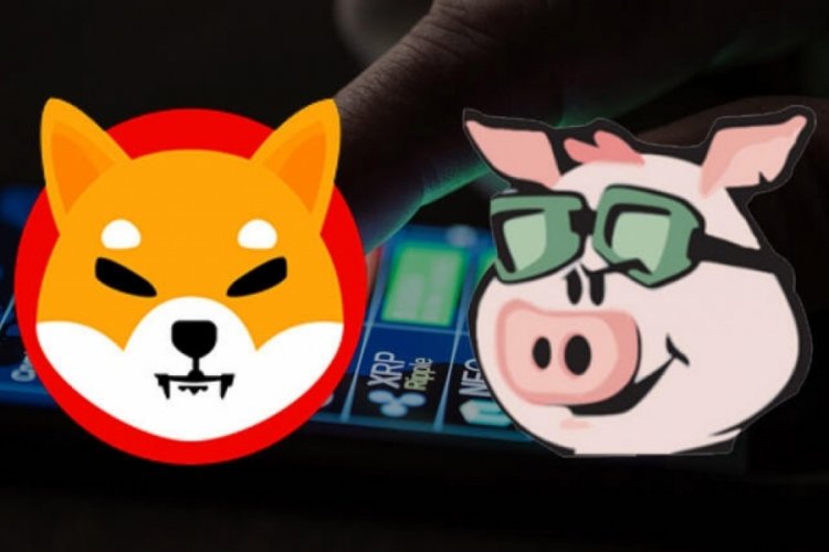 Kripto paralarda Shiba Inu ve Pig Finance rüzgarı