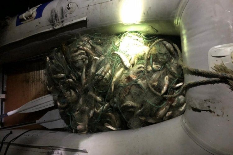 Van'da ka&ccedil;ak avlanan 530 kilo inci kefali ele ge&ccedil;irildi