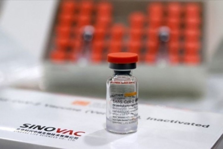 Sinovac aşısının gerçek dünya verileri açıklandı: Yüzde 98 etkili