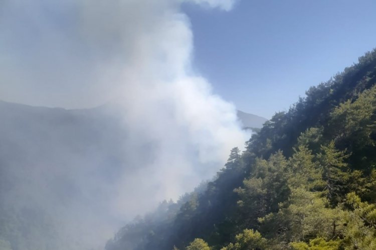 Amanos Dağları'ndaki yangın kontrol altına alındı