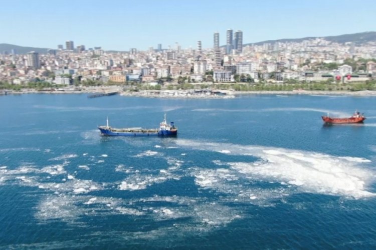 İstanbul sahillerini istila eden deniz salyalarında yoğunluk arttı