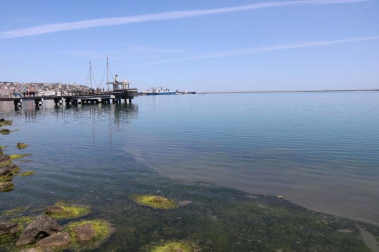 Samsun Limanı'nda tedirgin eden kirlilik: G&ouml;zler gemilerde