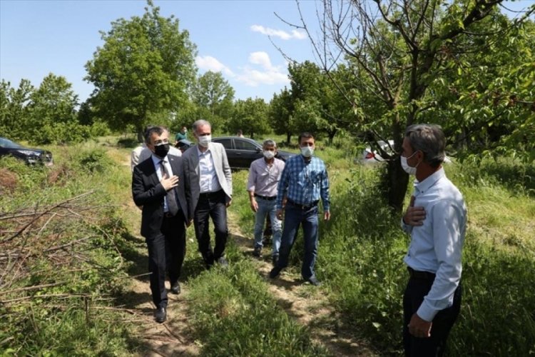 Bursa İneg&ouml;l'de tarım, el birliğiyle şahlanıyor