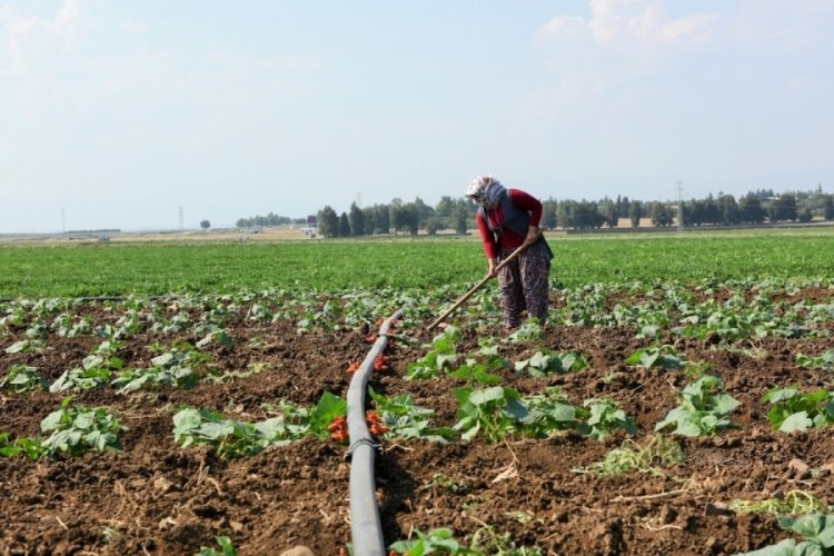 Tarım-&Uuml;FE aylık y&uuml;zde 0,79 azaldı
