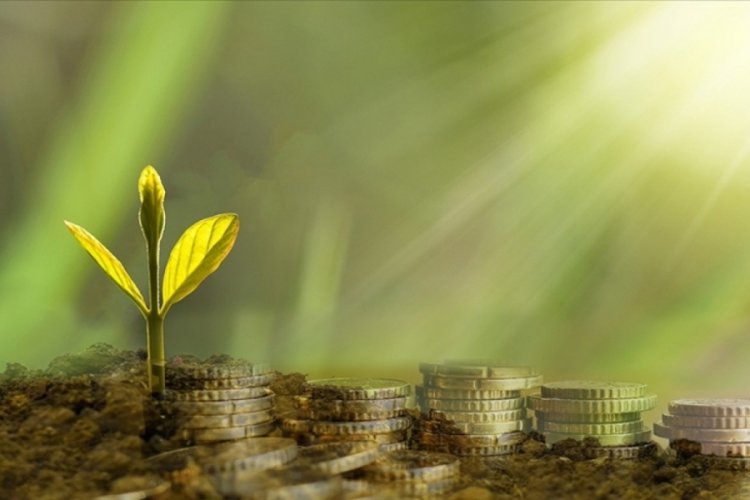 S&uuml;rd&uuml;r&uuml;lebilir finansman ihra&ccedil;ları ilk &ccedil;eyrekte rekor kırdı, yeşil tahviller 4 kat arttı