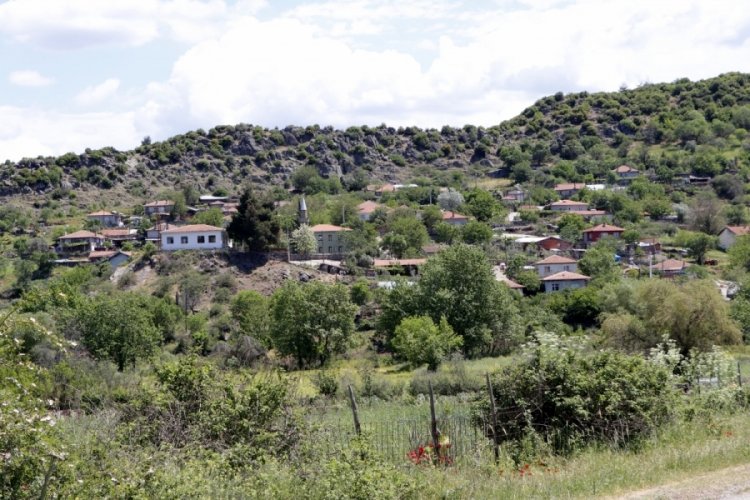 En &ccedil;ok vaka g&ouml;r&uuml;len kentin 33 k&ouml;y&uuml;ne hastalık giremedi