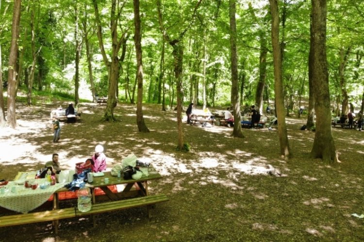 İstanbullular Belgrad Ormanı'na akın etti