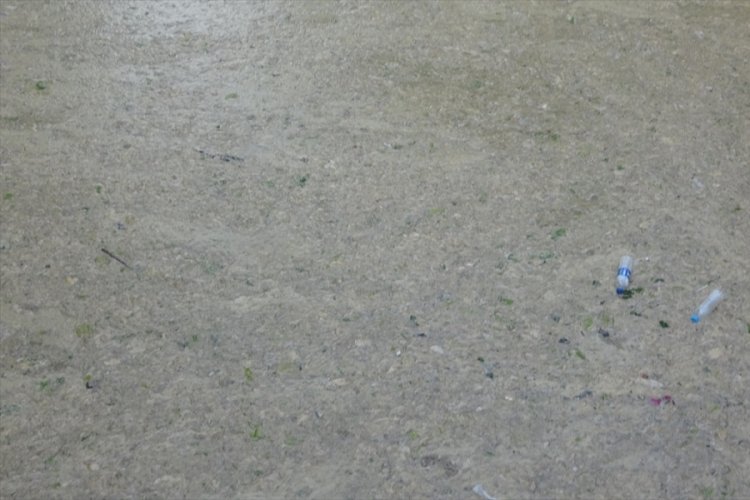 Deniz salyası Bursa'da Gemlik derelerini kapladı