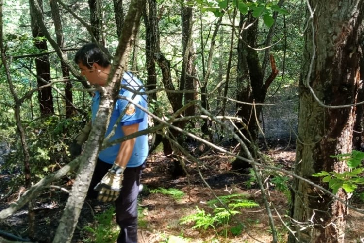 Bursa İnegöl'de ormanlık alanda çıkan yangın büyümeden söndürüldü